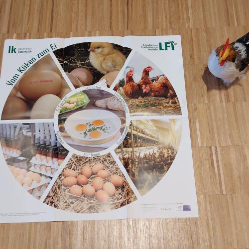 Ei-workshop mit Wattenberger Bäuerinnen
