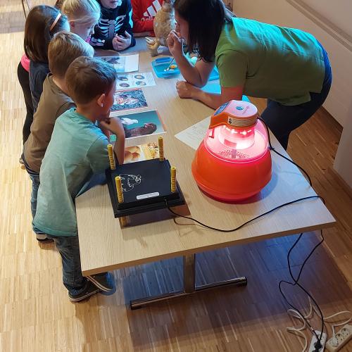 Ei-workshop mit Wattenberger Bäuerinnen