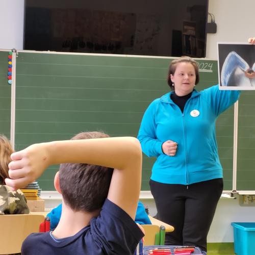 Zahngesundheitsvorsorge