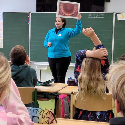 Zahngesundheitsvorsorge
