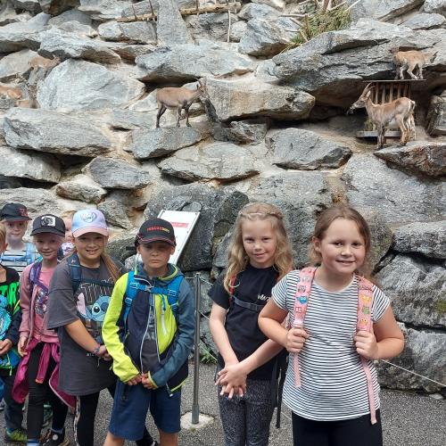 Alpenzoo-Exkursion im Frühjahr 2024