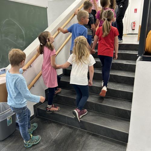 Schnuppertag für die "Erstler" im Herbst 2024