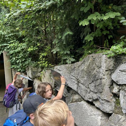 Alpenzoo-Exkursion im Frühjahr 2024