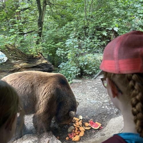 Alpenzoo-Exkursion im Frühjahr 2024