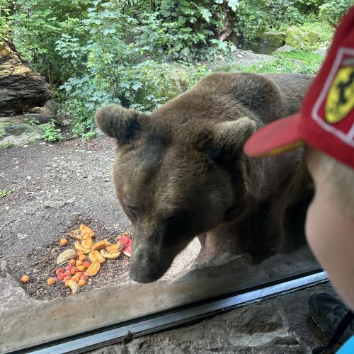 Alpenzoo-Exkursion im Frühjahr 2024