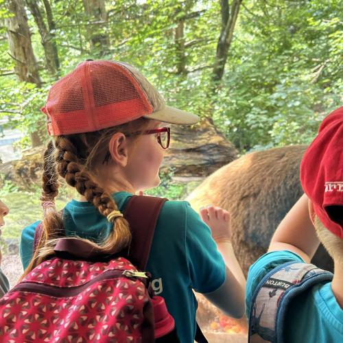 Alpenzoo-Exkursion im Frühjahr 2024
