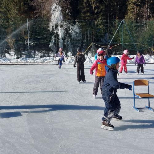 Eislaufen Sportplatz Säge