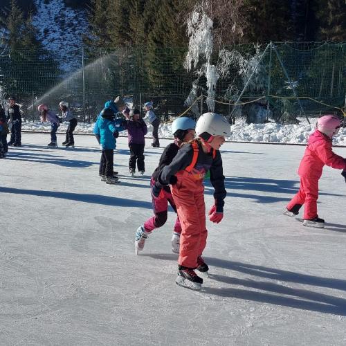 Eislaufen Sportplatz Säge