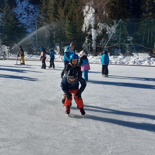 Eislaufen Sportplatz Säge