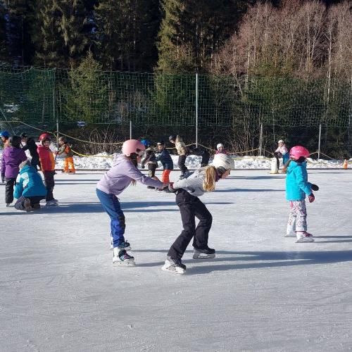 Eislaufen Sportplatz Säge