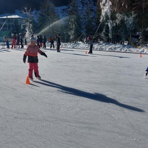 Eislaufen Sportplatz Säge