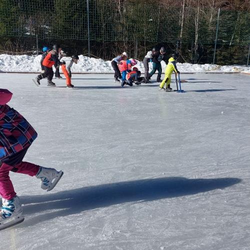 Eislaufen Sportplatz Säge