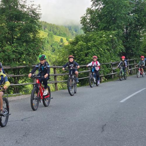 AUVA-Radworkshop