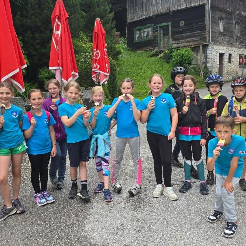 AUVA-Radworkshop