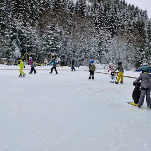 Eislaufen 2026