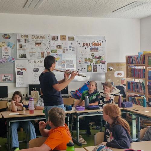 Instrumentenvorstellung