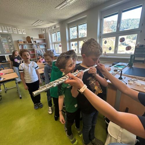 Instrumentenvorstellung