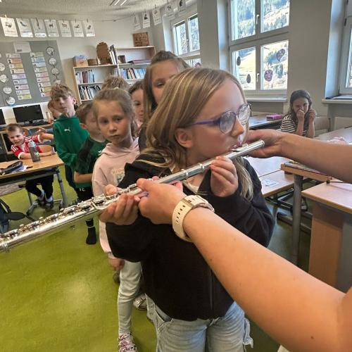 Instrumentenvorstellung