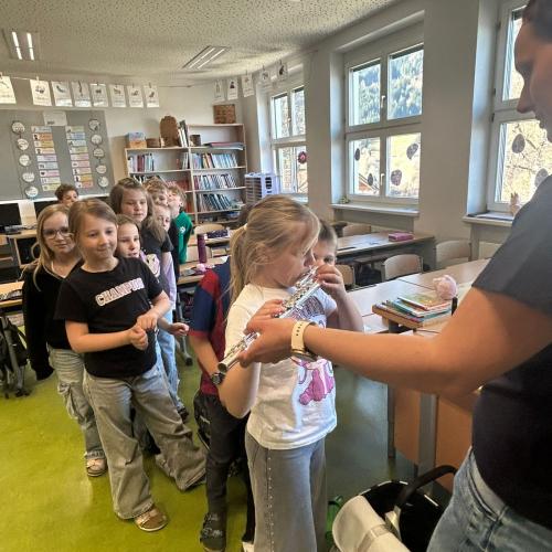 Instrumentenvorstellung