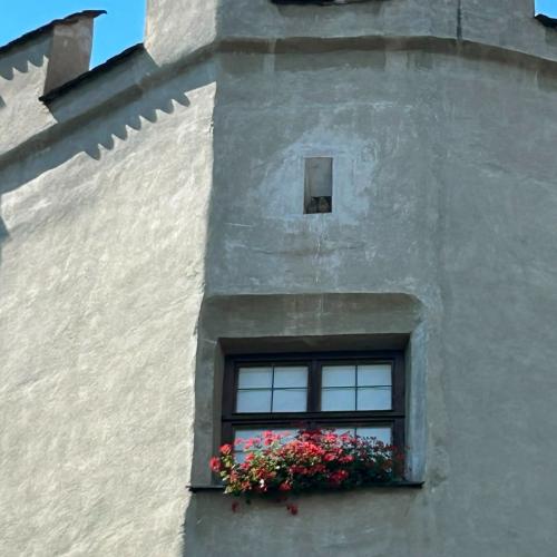Burg Hasegg