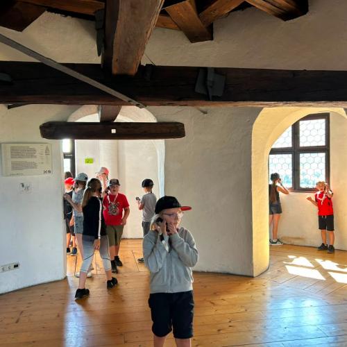 Burg Hasegg