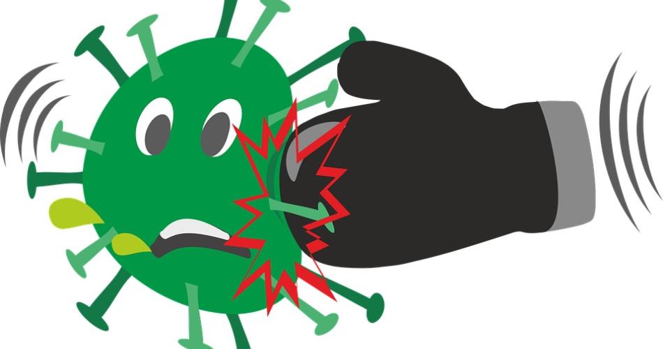 coronavirus wird von einer Faust weggeboxt